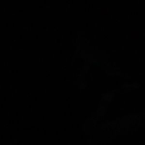 Meet your Posher, Franki